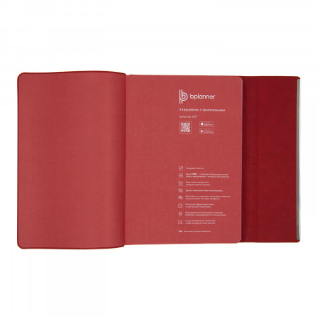 Ежедневник Bplanner.03 pro (серый)