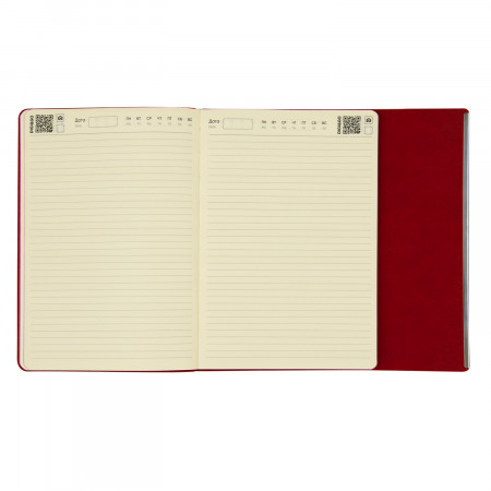 Ежедневник Bplanner.03 pro (серый)
