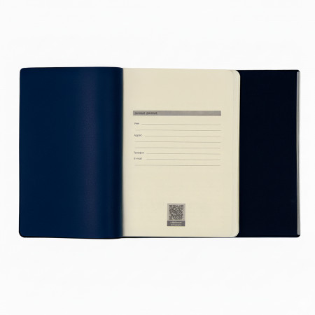 Ежедневник Bplanner.03 pro (серый)