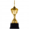 Кубок Top Star, золотистый