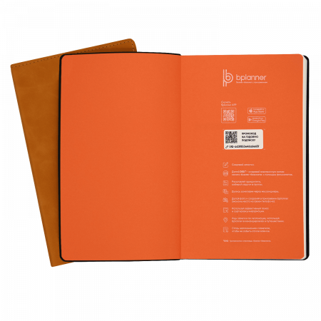Бизнес-блокнот Bplanner.05 (серый)
