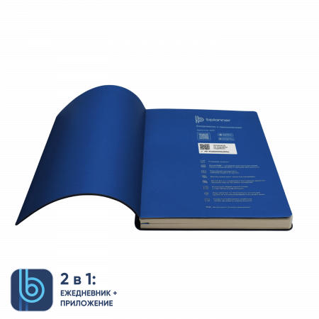 Ежедневник Bplanner.01 в подарочной коробке (серый)