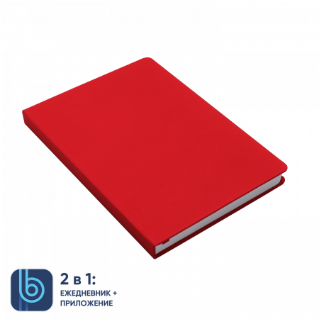 Набор Bplanner Business 02 (серый)