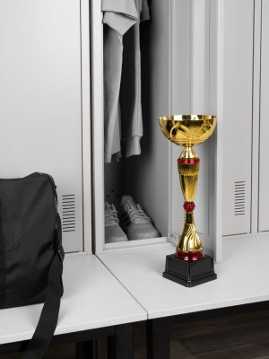 Кубок Awardee, большой, красный