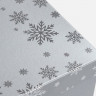 Коробка Wintry, серебристая