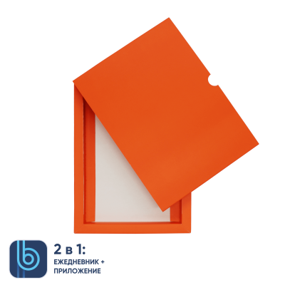 Коробка под ежедневник Bplanner (оранжевый)