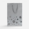 Пакет Wintry, серебристый