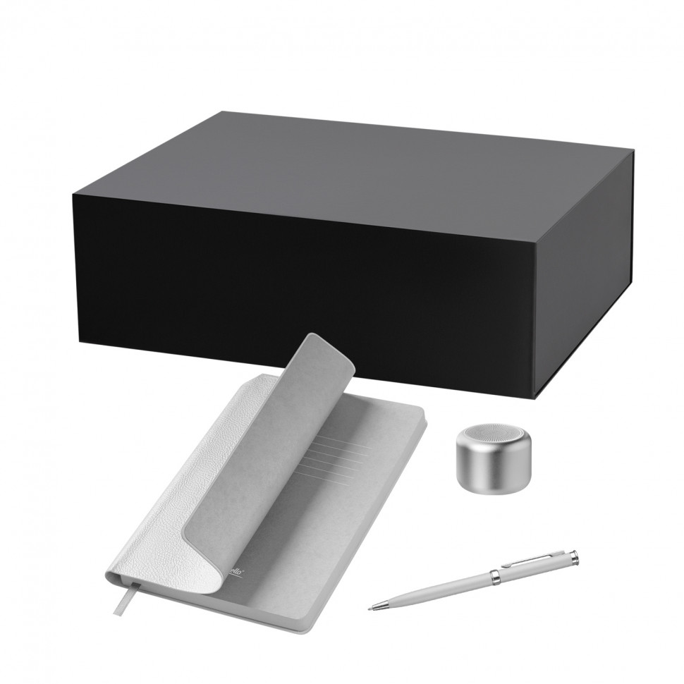 Подарочный набор Пэшн, Молто (Passion, Molto), серебряный (колонка, ежедневник, ручка)