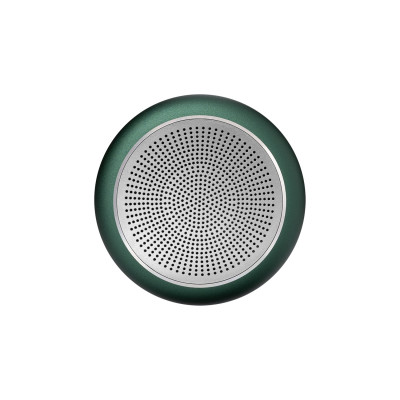 Беспроводная колонка Пэшн (Passion) 80dB 600 mAh (Bluetooth 5.4), зеленая