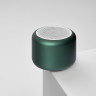 Беспроводная колонка Пэшн (Passion) 80dB 600 mAh (Bluetooth 5.4), зеленая