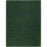 Ежедневник в суперобложке Brave Book, недатированный, зеленый