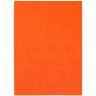 Ежедневник Flat Light, недатированный, оранжевый